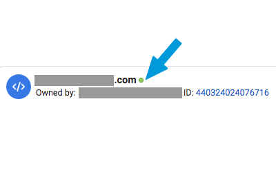 Green Dot in Facebook Ads Manager Indicates a Verified Domain