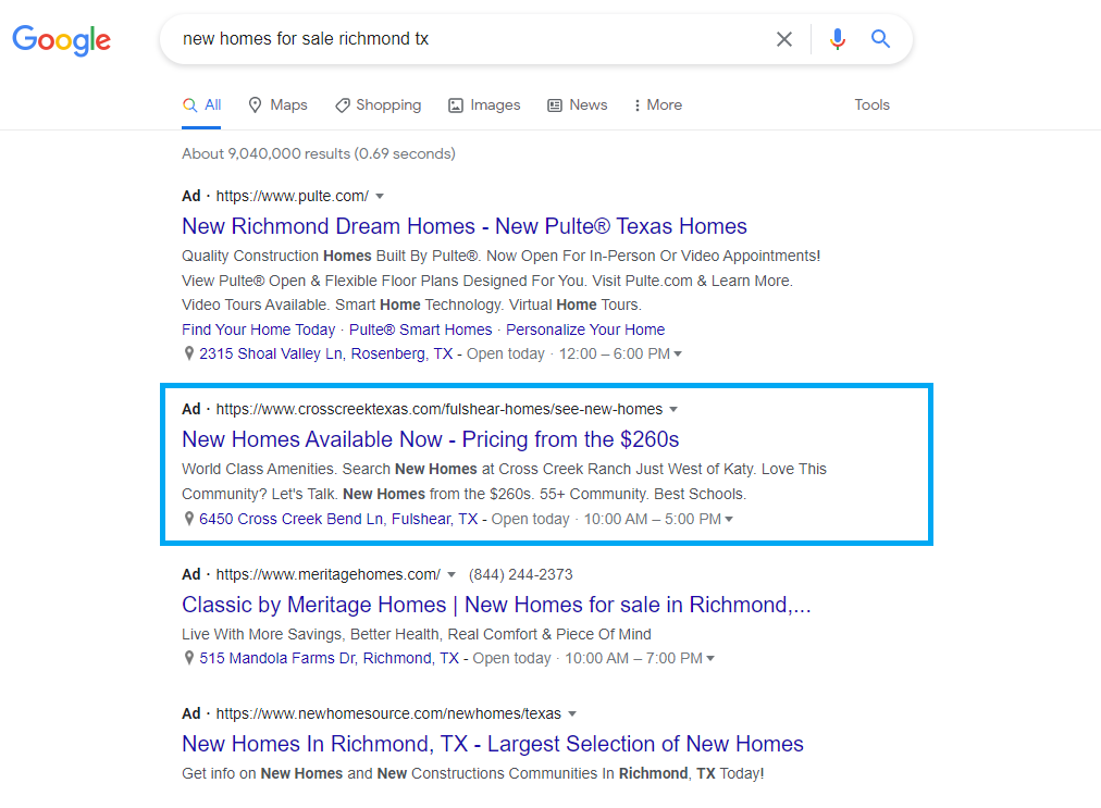 Screenshot of Google SERP Results